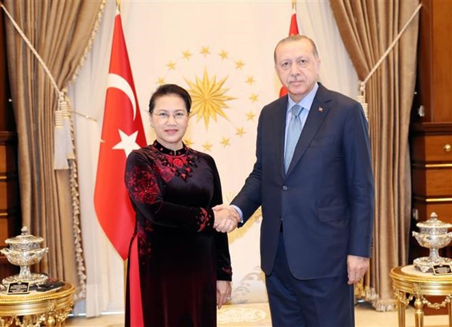 Presidente de Turquía afirma que su país aspira a firmar TLC con Vietnam , ảnh 1 Presidente de Turquía afirma que su país aspira a firmar TLC con Vietnam , ảnh 1