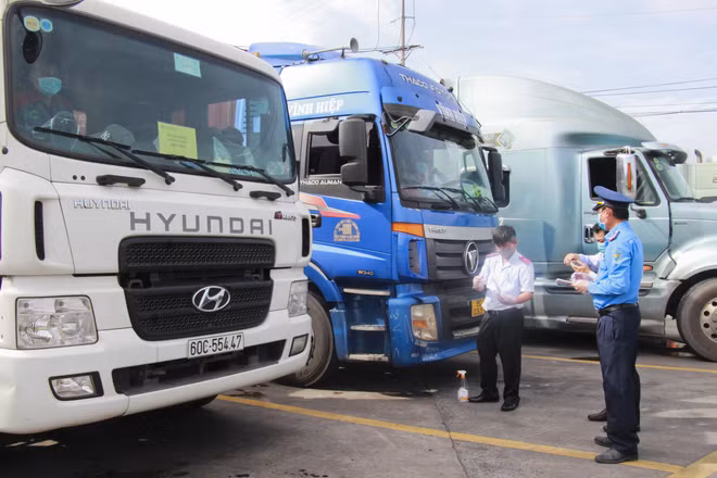 Gobierno vietnamita traza medidas para recuperar el mercado en etapa pospandémica ảnh 2
