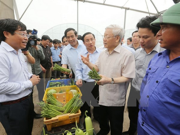 Líder partidista exhorta a Ha Tinh a concentrarse en el desarrollo sostenible ảnh 1 Líder partidista exhorta a Ha Tinh a concentrarse en el desarrollo sostenible ảnh 1
