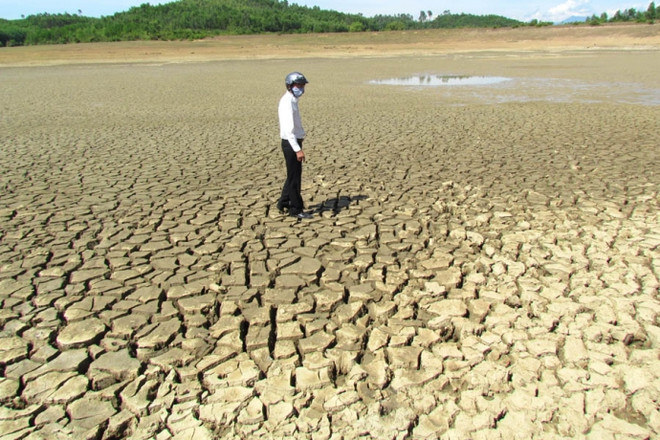 Sequía continúa afectando provincias centrales y sureñas de Vietnam ảnh 1 Sequía continúa afectando provincias centrales y sureñas de Vietnam ảnh 1