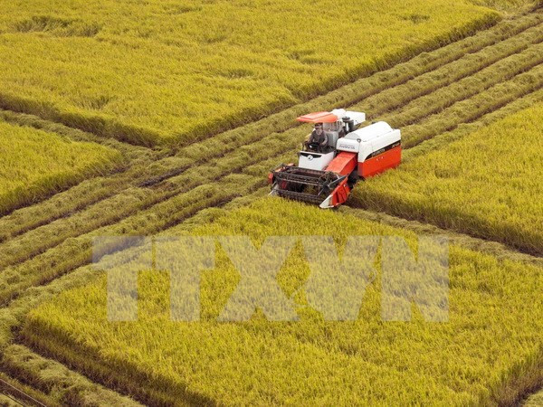 Elevan capacidad en evaluación de impacto ambiental para grandes proyectos ảnh 1 Elevan capacidad en evaluación de impacto ambiental para grandes proyectos ảnh 1