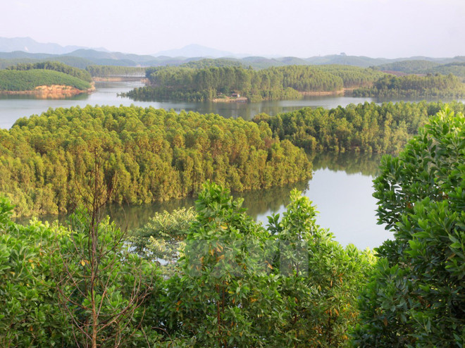 Plantación forestal brinda felicidad y prosperidad para pobladores de Yen Bai ảnh 1 Plantación forestal brinda felicidad y prosperidad para pobladores de Yen Bai ảnh 1