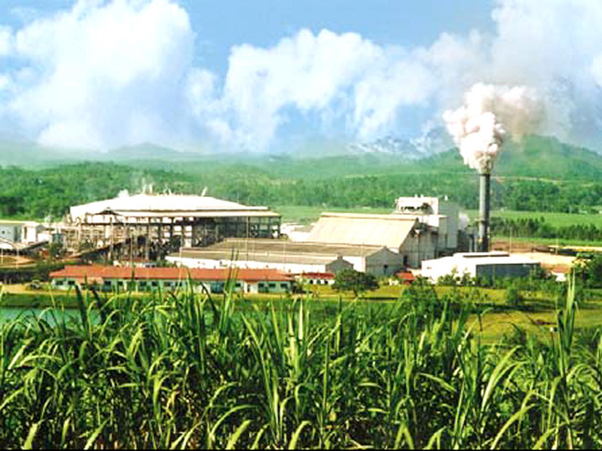 Cambodia inaugura mayor fábrica de azúcar refinado de Asia ảnh 1 Cambodia inaugura mayor fábrica de azúcar refinado de Asia ảnh 1