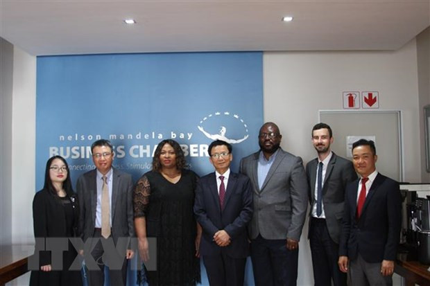 Promueven relación económica entre Vietnam y Sudáfrica ảnh 1 Promueven relación económica entre Vietnam y Sudáfrica ảnh 1
