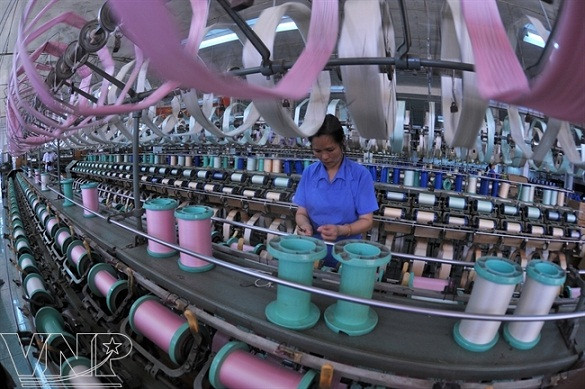 Seda de Bao Loc, producto turístico de Lam Dong ảnh 3