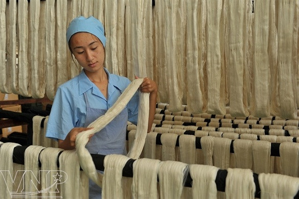 Seda de Bao Loc, producto turístico de Lam Dong ảnh 1