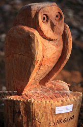 Estatuas funerarias de Tay Nguyen ảnh 8