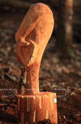 Estatuas funerarias de Tay Nguyen ảnh 6