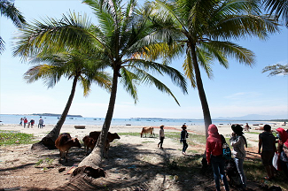 Acantilado de Ban Than, en Quang Nam ảnh 3