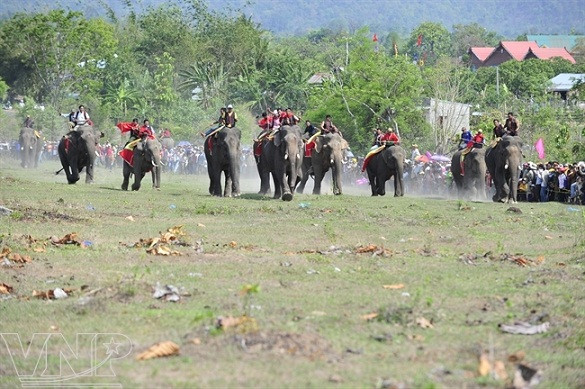 Festival de Buon Don ảnh 5