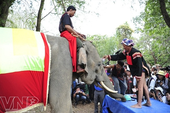 Festival de Buon Don ảnh 4
