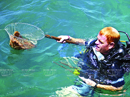 Fascinante Cu Lao Cham ảnh 9