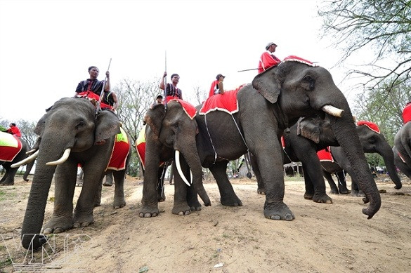 Festival de Buon Don ảnh 3