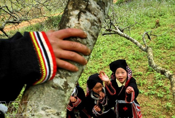 Niños de Dao Tien disfrutan el Tet ảnh 3