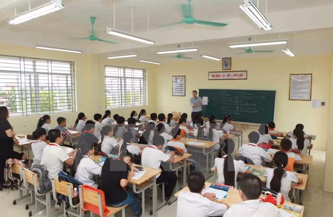 Entregan software educativo online a escuelas de Vietnam ảnh 1