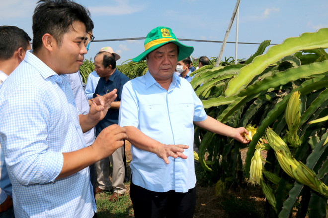 Conceder mayor espacio en mercado a agricultura de Vietnam ảnh 2 Conceder mayor espacio en mercado a agricultura de Vietnam ảnh 2