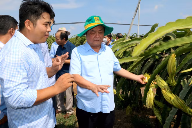 Conceder mayor espacio en mercado a agricultura de Vietnam ảnh 2