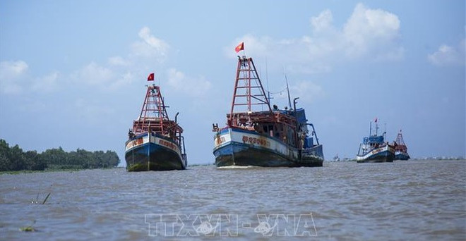Provincia vietnamita de Kien Giang por eliminar pesca ilegal ảnh 1