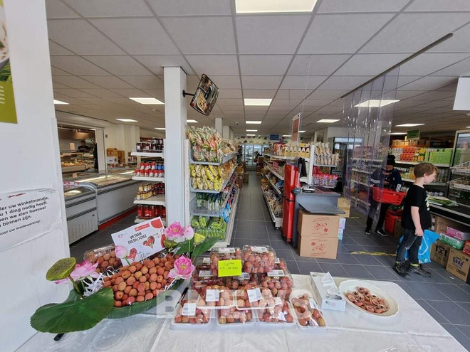 Holanda, puente para exportar productos vietnamitas a Unión Europea ảnh 1 Holanda, puente para exportar productos vietnamitas a Unión Europea ảnh 1