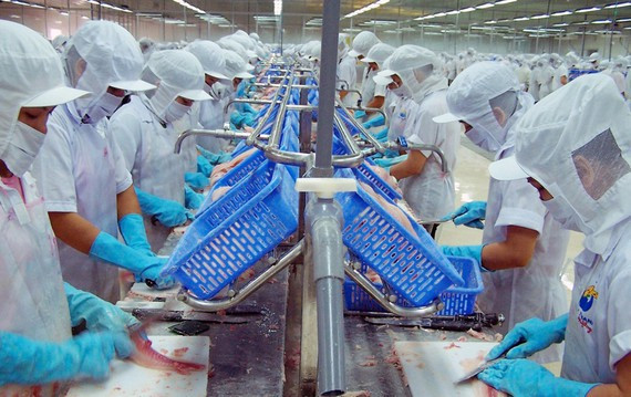 Vietnam debe buscar medidas para adaptarse a la situación epidémica, recomiendan expertos ảnh 1 Vietnam debe buscar medidas para adaptarse a la situación epidémica, recomiendan expertos ảnh 1