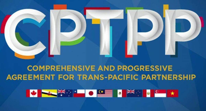 Vietnam dispuesto a compartir experiencias en adhesión al CPTPP ảnh 2 Vietnam dispuesto a compartir experiencias en adhesión al CPTPP ảnh 2