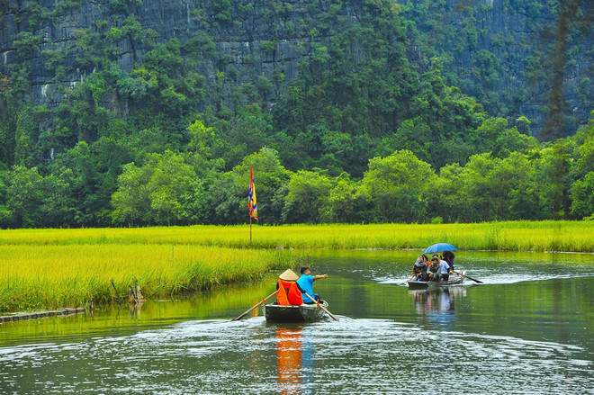 Vietnam se esfuerza por convertirse en atractivo destino de ecoturismo ảnh 2