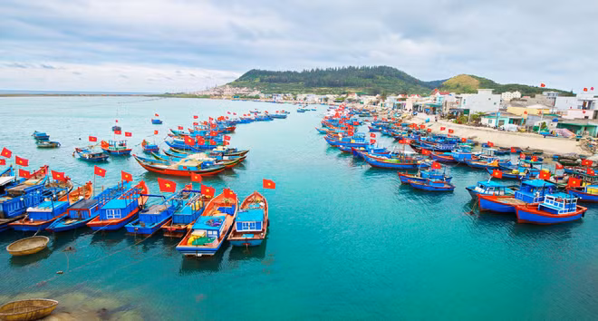 Provincia vietnamita por desarrollo del sector marítimo ảnh 1
