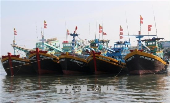 Provincia vietnamita aplica sanciones estrictas contra casos de pesca ilegal ảnh 1 Provincia vietnamita aplica sanciones estrictas contra casos de pesca ilegal ảnh 1