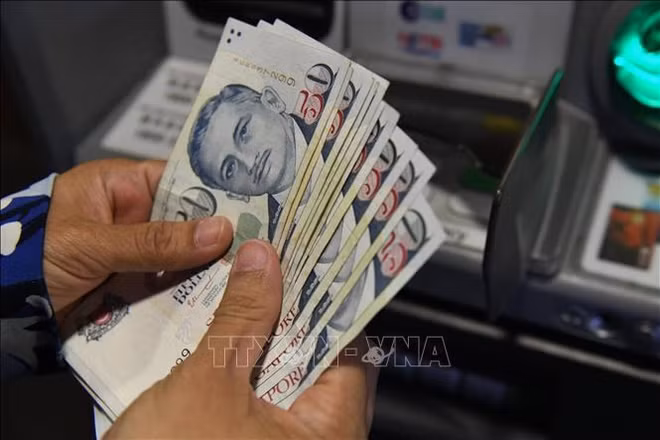 Singapur y Malasia facilitan el pago sin fronteras ảnh 1