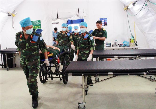 Vietnam concede importancia a los nexos con la ONU ảnh 3 Vietnam concede importancia a los nexos con la ONU ảnh 3
