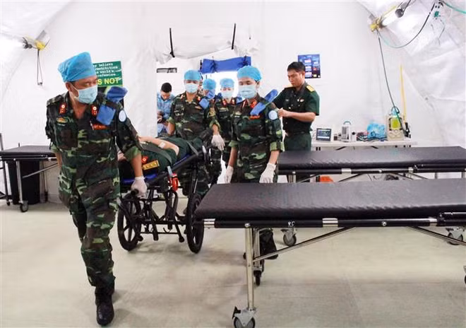 Vietnam concede importancia a los nexos con la ONU ảnh 3