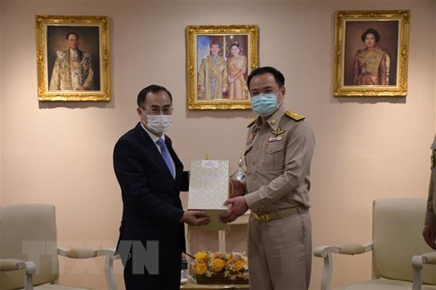 Vietnam y Tailandia fortalecen cooperación en salud ảnh 1 Vietnam y Tailandia fortalecen cooperación en salud ảnh 1