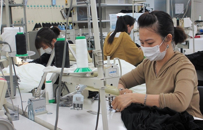 Comparten soluciones para ayudar a empresas vietnamitas a recuperarse en el período post-pandémico ảnh 1 Comparten soluciones para ayudar a empresas vietnamitas a recuperarse en el período post-pandémico ảnh 1