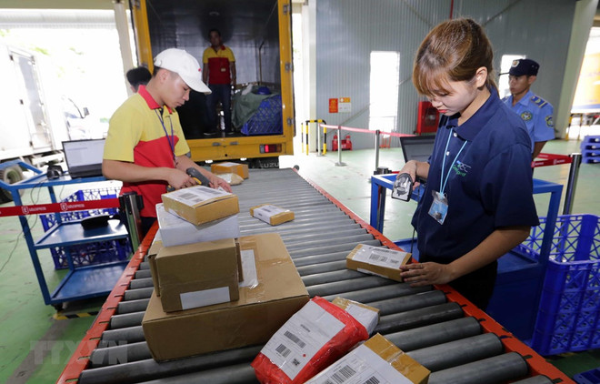 Vietnam debe construir una economía capaz de responder a las crisis, afirma experto ảnh 1 Vietnam debe construir una economía capaz de responder a las crisis, afirma experto ảnh 1