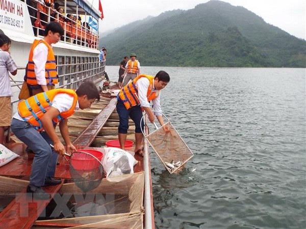 Vietnam proyecta plan para protección y explotación de recursos acuáticos ảnh 1 Vietnam proyecta plan para protección y explotación de recursos acuáticos ảnh 1