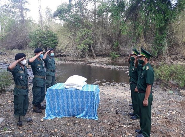 Asistencia arrocera en zonas limítrofes estrecha relaciones Vietnam-Camboya ảnh 1 Asistencia arrocera en zonas limítrofes estrecha relaciones Vietnam-Camboya ảnh 1