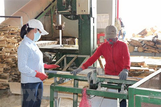 Encabeza Vietnam encuesta de optimismo de ciudadanía sobre recuperación económica tras COVID-19 ảnh 1 Encabeza Vietnam encuesta de optimismo de ciudadanía sobre recuperación económica tras COVID-19 ảnh 1