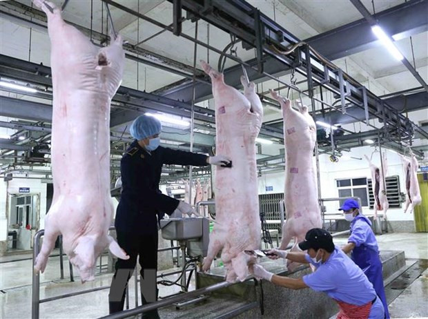 Aumenta Vietnam importación de carne de cerdo en primer trimestre de 2020 ảnh 1 Aumenta Vietnam importación de carne de cerdo en primer trimestre de 2020 ảnh 1