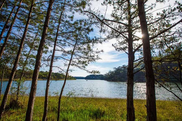  Vietnam prepara planes para reactivar el mercado turístico ảnh 1