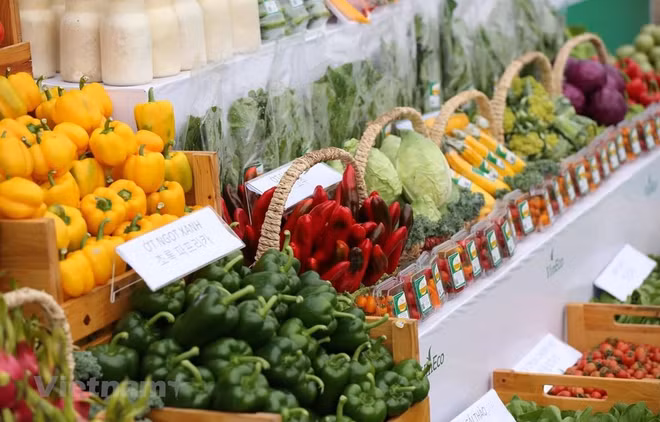 Índice de Precios al Consumidor de Vietnam disminuye en abril ảnh 1 Índice de Precios al Consumidor de Vietnam disminuye en abril ảnh 1