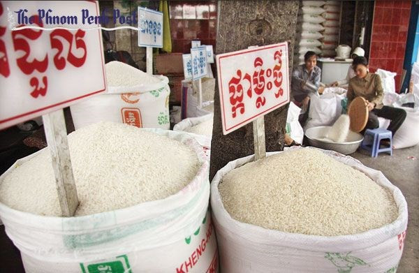 Exportación de arroz de Camboya a China aumentó 66 por ciento en primer semestre de 2019 ảnh 1 Exportación de arroz de Camboya a China aumentó 66 por ciento en primer semestre de 2019 ảnh 1