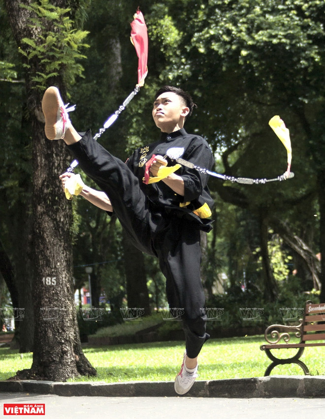 La quintaesencia de las artes marciales tradicionales de Vietnam ảnh 5 La quintaesencia de las artes marciales tradicionales de Vietnam ảnh 5
