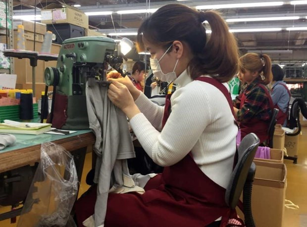 Firmas japonesas desean recibir a ex estudiantes vietnamitas ảnh 1