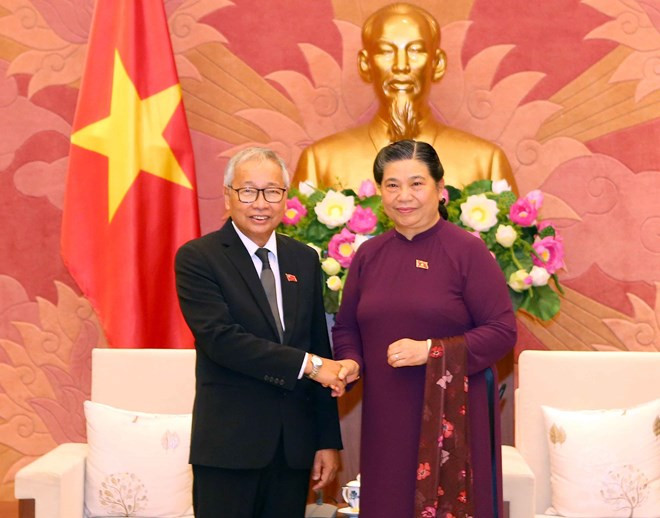 Visitan Vietnam altos funcionarios de Liga Nacional para la Democracia de Myanmar ảnh 1 Visitan Vietnam altos funcionarios de Liga Nacional para la Democracia de Myanmar ảnh 1