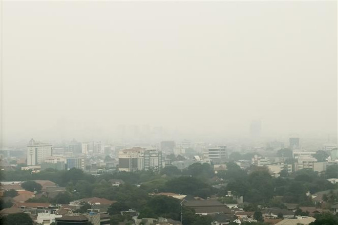 Alertan en capital de Indonesia sobre contaminación del aire ảnh 1