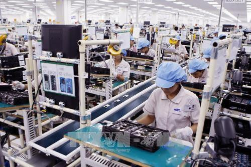Establecen en Vietnam unas 67 mil nuevas empresas en primer semestre de 2019 ảnh 1