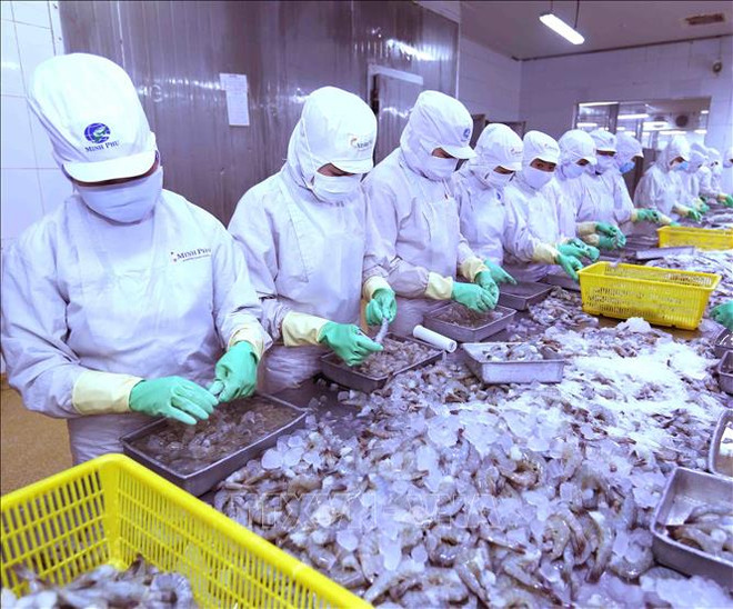 Cooperan países miembros de ASEAN para desarrollar la industria pesquera ảnh 1 Cooperan países miembros de ASEAN para desarrollar la industria pesquera ảnh 1