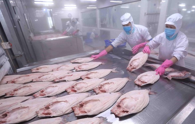 Banco Mundial: EVFTA muestra política de Vietnam a favor del libre comercio ảnh 1 Banco Mundial: EVFTA muestra política de Vietnam a favor del libre comercio ảnh 1