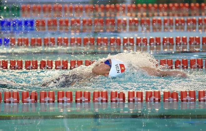 Participa Vietnam en XVIII Campeonato Mundial de Natación en Corea del Sur ảnh 1