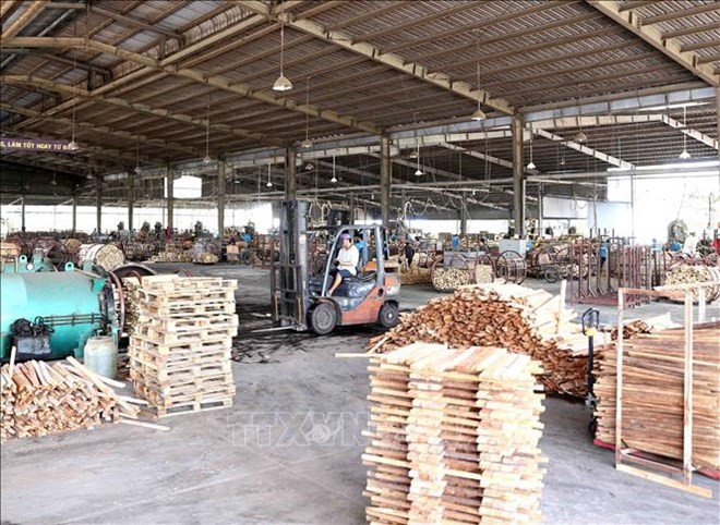 Promoverá TLC con UE el desarrollo sostenible de industria maderera de Vietnam ảnh 1 Promoverá TLC con UE el desarrollo sostenible de industria maderera de Vietnam ảnh 1